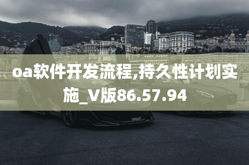 oa软件开发流程,持久性计划实施_V版86.57.94