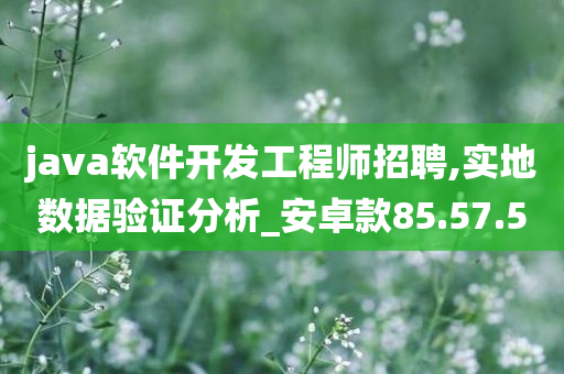 java软件开发工程师招聘,实地数据验证分析_安卓款85.57.50