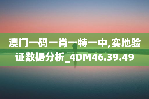 澳门一码一肖一特一中,实地验证数据分析_4DM46.39.49