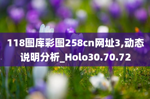 118图库彩图258cn网址3,动态说明分析_Holo30.70.72