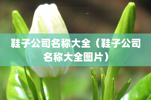 鞋子公司名称大全（鞋子公司名称大全图片）