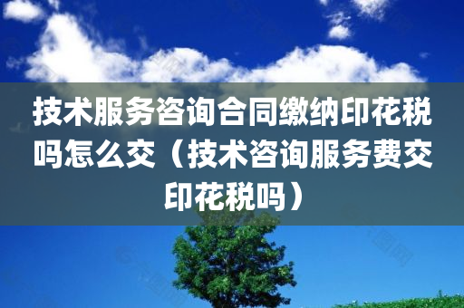 技术服务咨询合同缴纳印花税吗怎么交（技术咨询服务费交印花税吗）