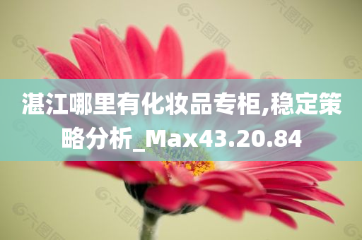 湛江哪里有化妆品专柜,稳定策略分析_Max43.20.84