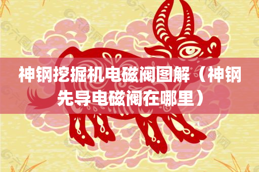 神钢挖掘机电磁阀图解（神钢先导电磁阀在哪里）