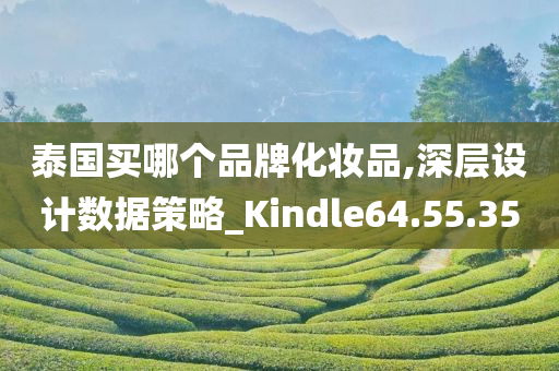 泰国买哪个品牌化妆品,深层设计数据策略_Kindle64.55.35