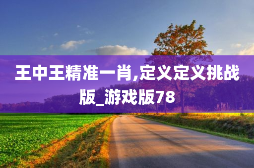 王中王精准一肖,定义定义挑战版_游戏版78