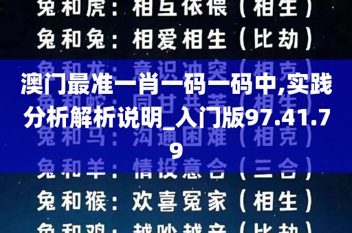 澳门最准一肖一码一码中,实践分析解析说明_入门版97.41.79