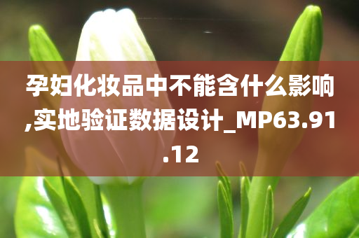 孕妇化妆品中不能含什么影响,实地验证数据设计_MP63.91.12