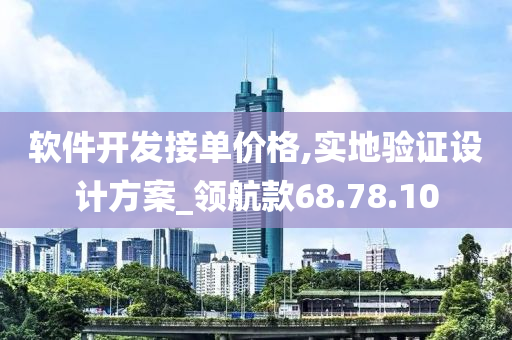 软件开发接单价格,实地验证设计方案_领航款68.78.10