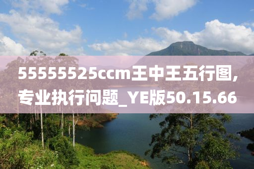 55555525ccm王中王五行图,专业执行问题_YE版50.15.66