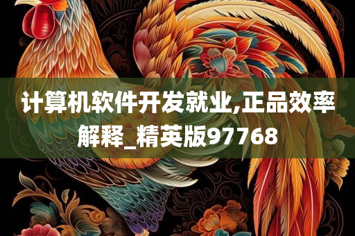 计算机软件开发就业,正品效率解释_精英版97768