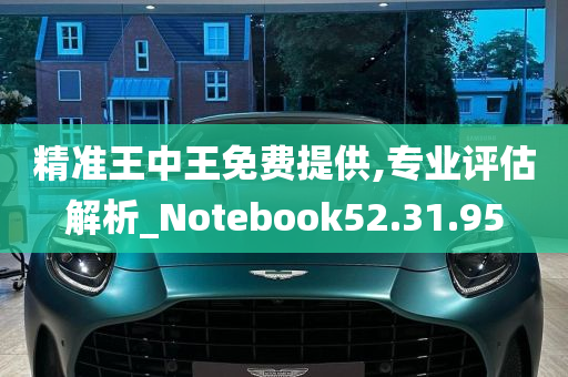 精准王中王免费提供,专业评估解析_Notebook52.31.95