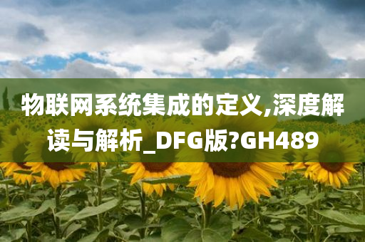 物联网系统集成的定义,深度解读与解析_DFG版?GH489