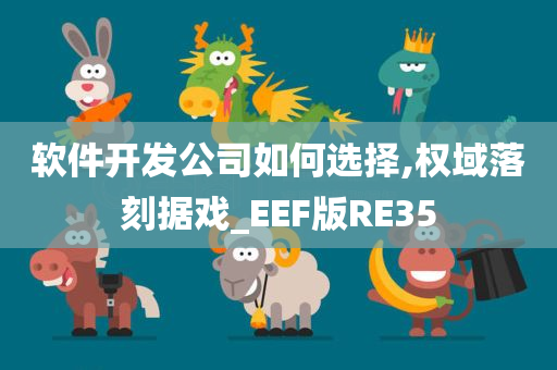 软件开发公司如何选择,权域落刻据戏_EEF版RE35