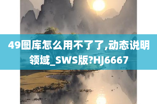 49图库怎么用不了了,动态说明领域_SWS版?HJ6667