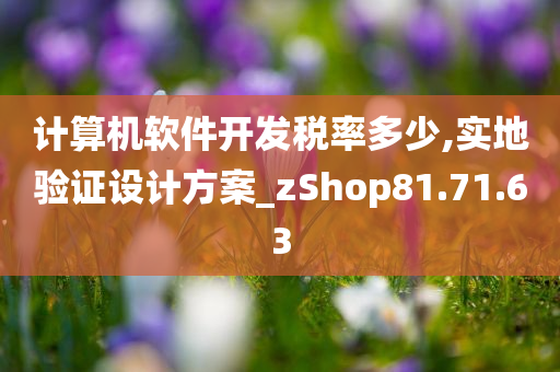 计算机软件开发税率多少,实地验证设计方案_zShop81.71.63