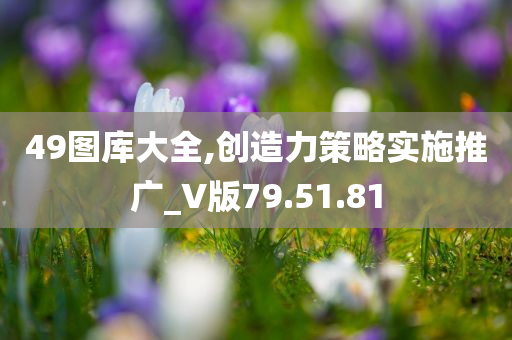 49图库大全,创造力策略实施推广_V版79.51.81