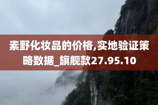 素野化妆品的价格,实地验证策略数据_旗舰款27.95.10