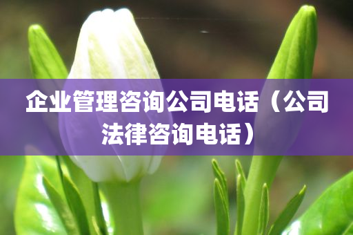 企业管理咨询公司电话（公司法律咨询电话）