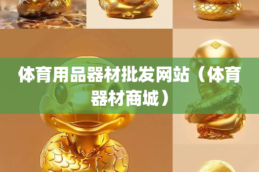 体育用品器材批发网站（体育器材商城）