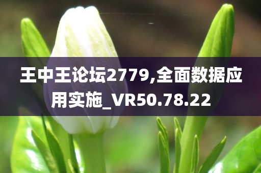 王中王论坛2779,全面数据应用实施_VR50.78.22