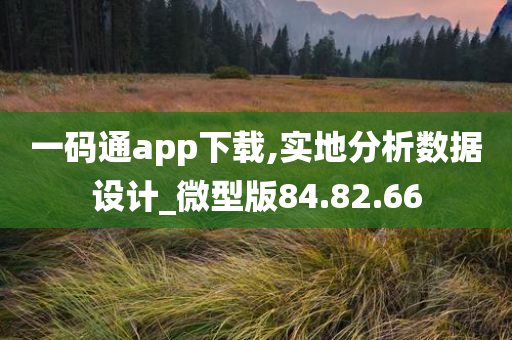 一码通app下载,实地分析数据设计_微型版84.82.66