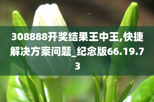 308888开奖结果王中王,快捷解决方案问题_纪念版66.19.73