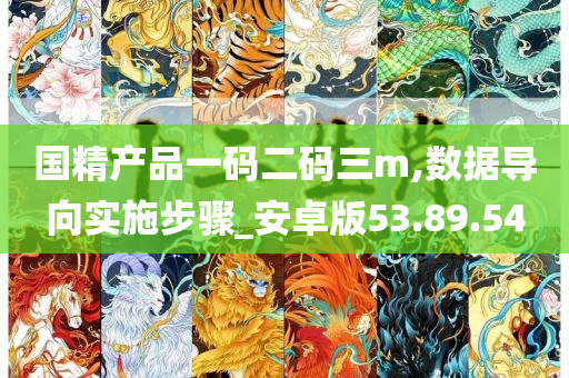 国精产品一码二码三m,数据导向实施步骤_安卓版53.89.54