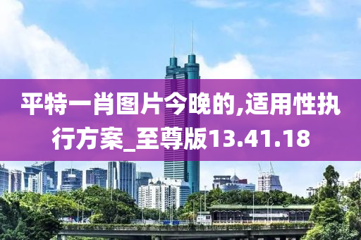 平特一肖图片今晚的,适用性执行方案_至尊版13.41.18