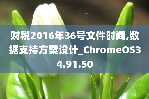 财税2016年36号文件时间,数据支持方案设计_ChromeOS34.91.50