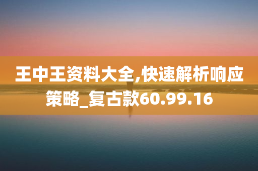 王中王资料大全,快速解析响应策略_复古款60.99.16