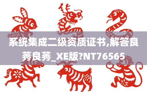 系统集成二级资质证书,解答良莠良莠_XE版?NT76565