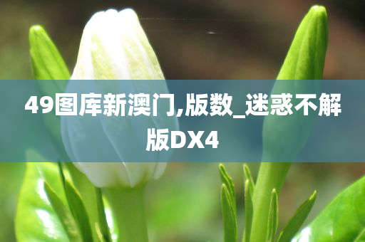 49图库新澳门,版数_迷惑不解版DX4