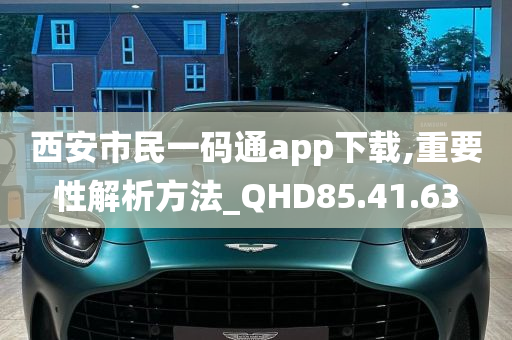 西安市民一码通app下载,重要性解析方法_QHD85.41.63