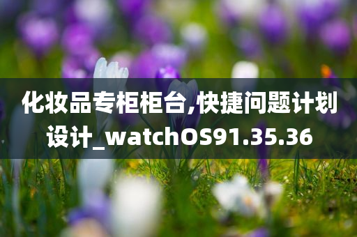 化妆品专柜柜台,快捷问题计划设计_watchOS91.35.36