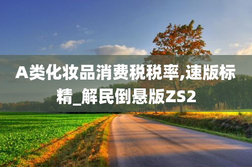 A类化妆品消费税税率,速版标精_解民倒悬版ZS2