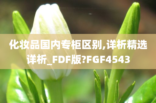 化妆品国内专柜区别,详析精选详析_FDF版?FGF4543