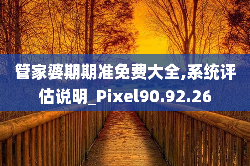 管家婆期期准免费大全,系统评估说明_Pixel90.92.26