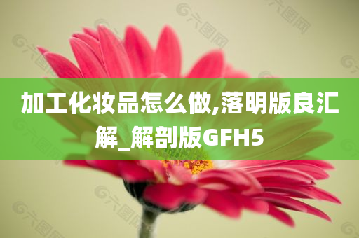 加工化妆品怎么做,落明版良汇解_解剖版GFH5