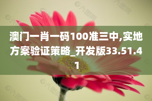 澳门一肖一码100准三中,实地方案验证策略_开发版33.51.41