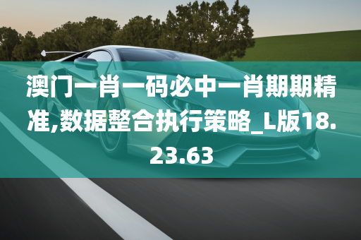 澳门一肖一码必中一肖期期精准,数据整合执行策略_L版18.23.63