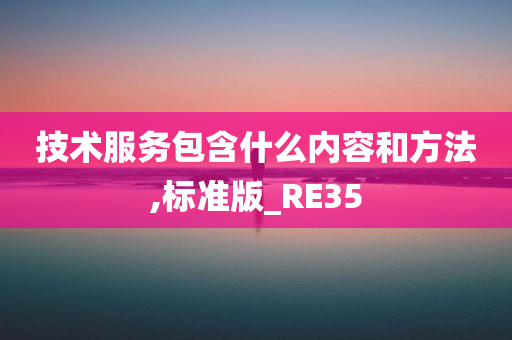 技术服务包含什么内容和方法,标准版_RE35