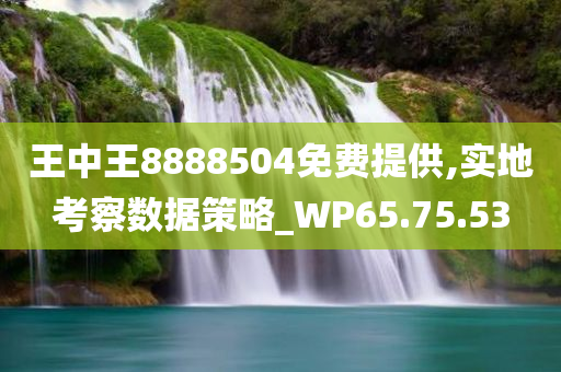 王中王8888504免费提供,实地考察数据策略_WP65.75.53