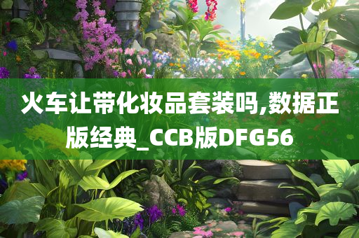 火车让带化妆品套装吗,数据正版经典_CCB版DFG56