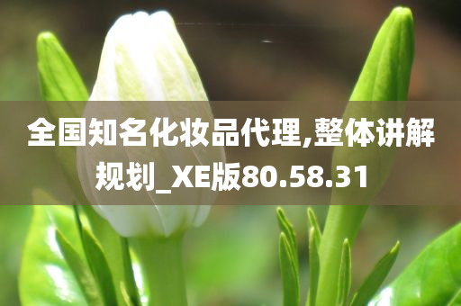 全国知名化妆品代理,整体讲解规划_XE版80.58.31