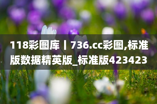 118彩图库丨736.cc彩图,标准版数据精英版_标准版423423