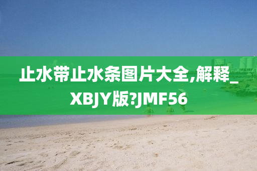 止水带止水条图片大全,解释_XBJY版?JMF56