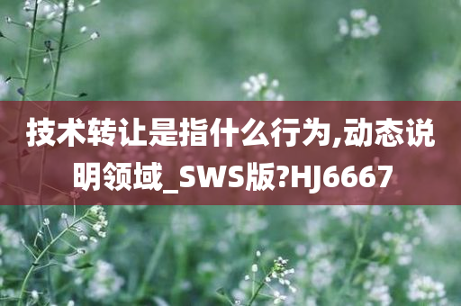 技术转让是指什么行为,动态说明领域_SWS版?HJ6667