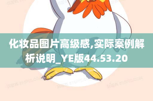 化妆品图片高级感,实际案例解析说明_YE版44.53.20