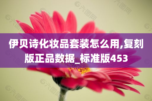 伊贝诗化妆品套装怎么用,复刻版正品数据_标准版453